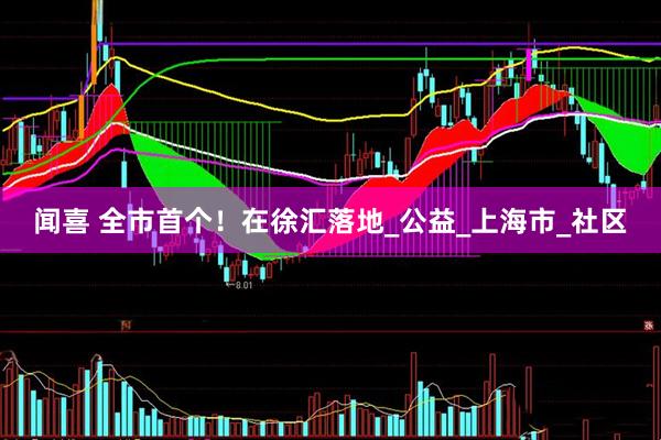 闻喜 全市首个！在徐汇落地_公益_上海市_社区