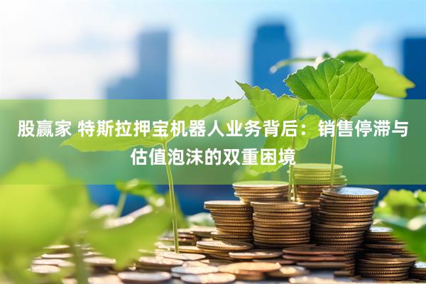股赢家 特斯拉押宝机器人业务背后：销售停滞与估值泡沫的双重困境