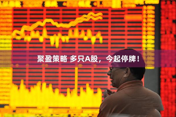 聚盈策略 多只A股，今起停牌！