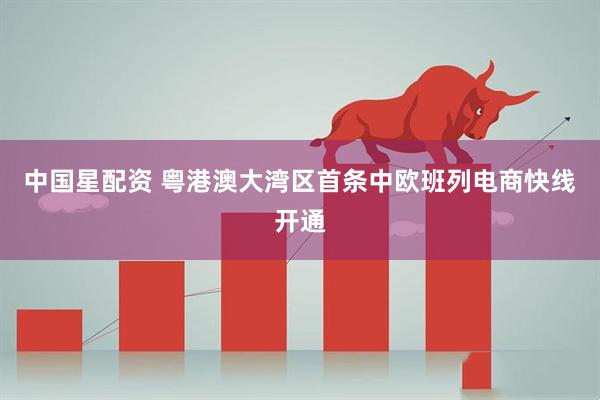 中国星配资 粤港澳大湾区首条中欧班列电商快线开通