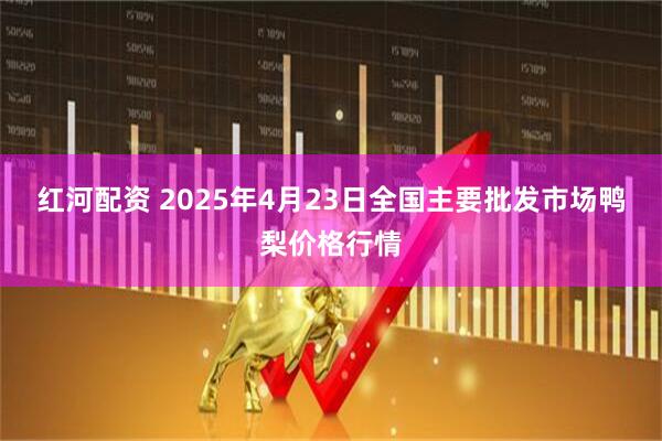 红河配资 2025年4月23日全国主要批发市场鸭梨价格行情